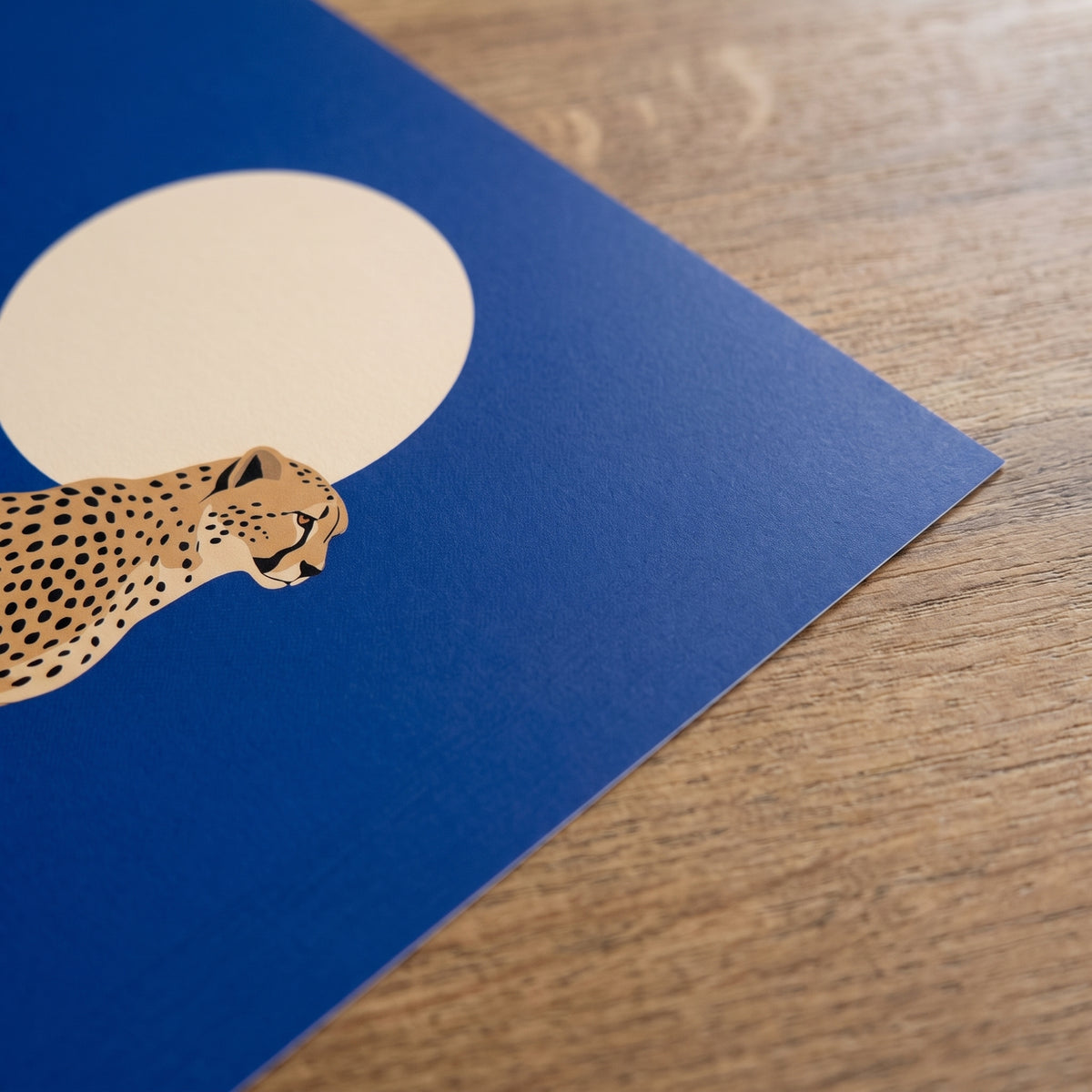 Asiatic Cheetah on a Yazd Windcatcher